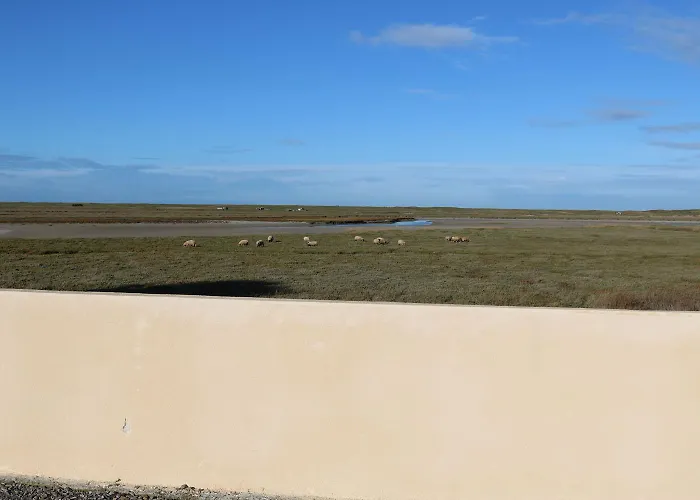 Les Dunes 47c Holiday home Bricqueville-sur-Mer